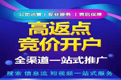 行业领先企业的百度广告推广费用揭秘