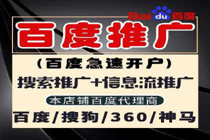 SEM优化公司实战案例：如何精准投放广告